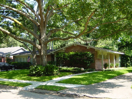 The Architecture of Memorial Bend