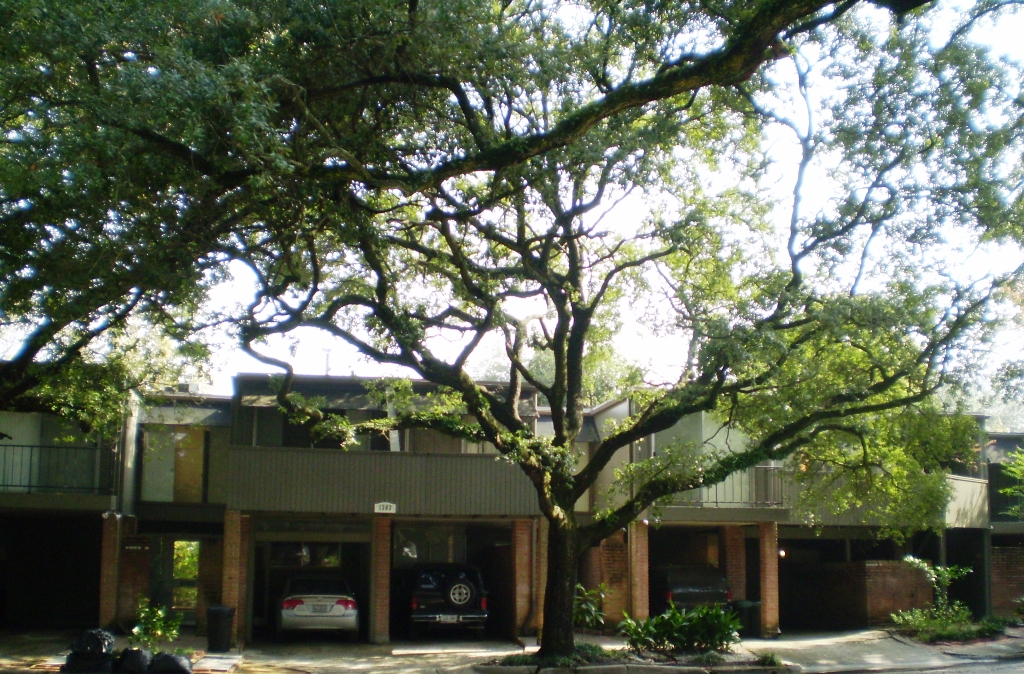 Vassar Place Apartments HoustonMod